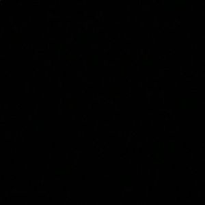 Meet your Posher, Gabriella